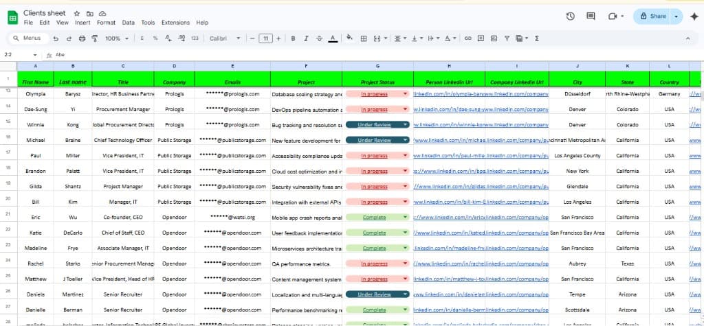 Structured B2B lead data sheet