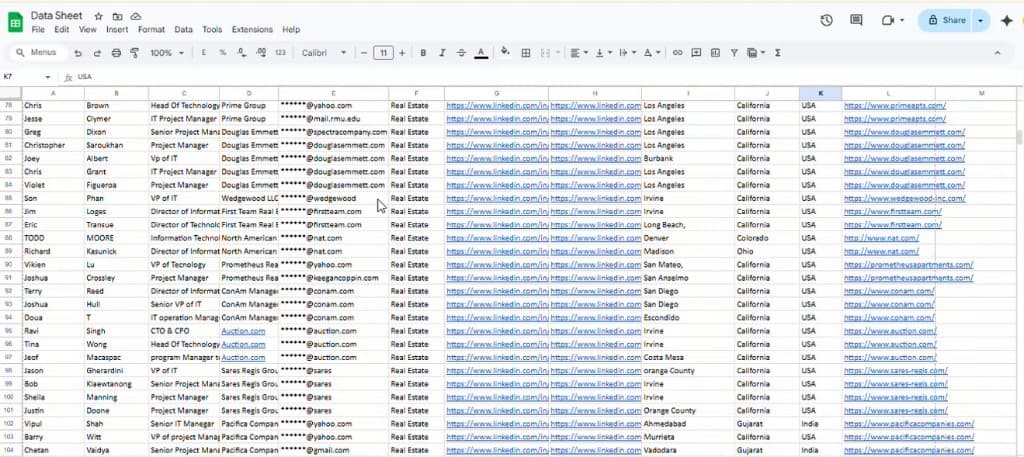 Lead and company data overview