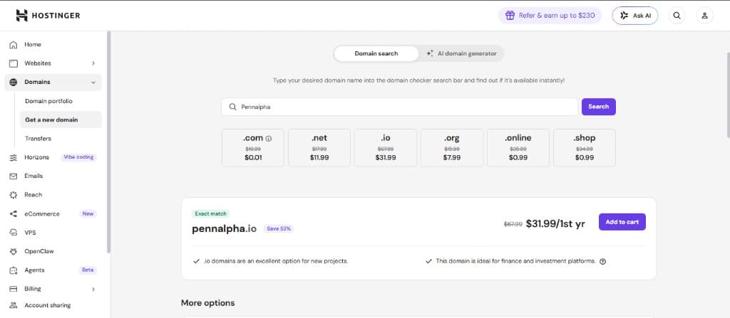 Domain checkout and registration flow